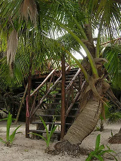 Jade Tulum Hotel 3*,