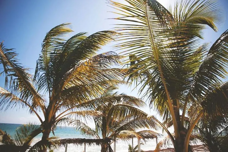 ***  Hotel Jade Tulum Messico